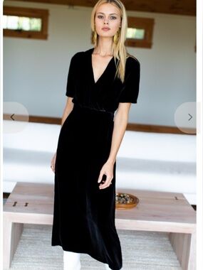 Emerson Fry Ava Silk Velvet Dress, NWT XS